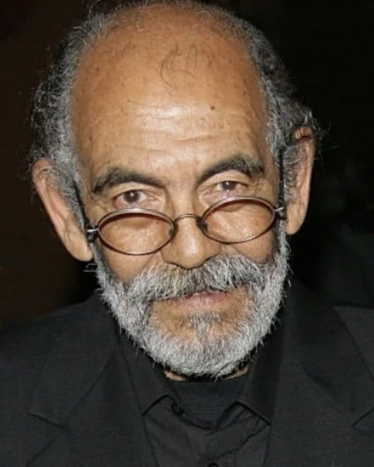 صورة خيار اختيار الممثل