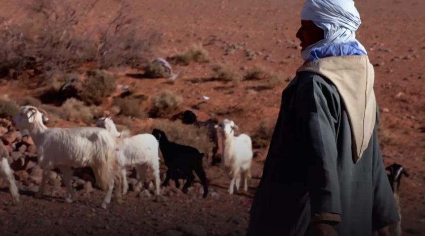 صورة حلقة المحتوى