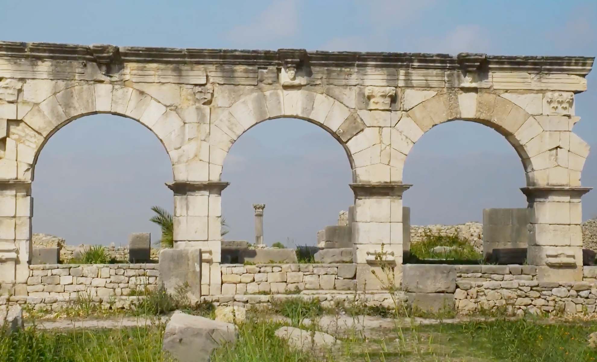 صورة حلقة المحتوى