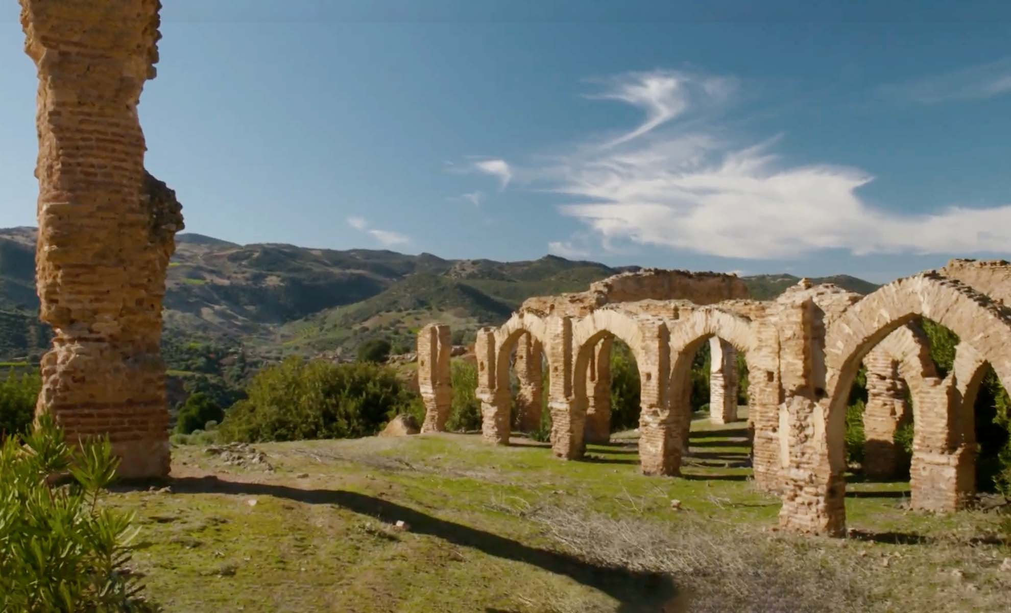 صورة حلقة المحتوى