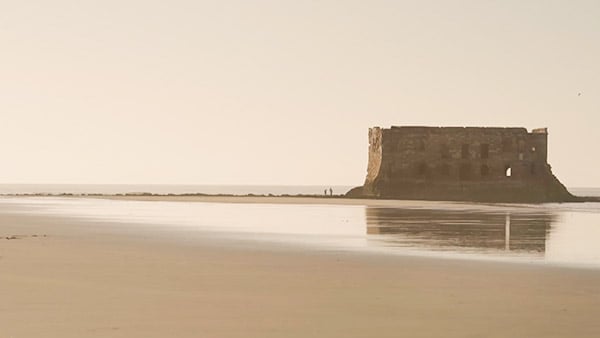 صورة حلقة المحتوى