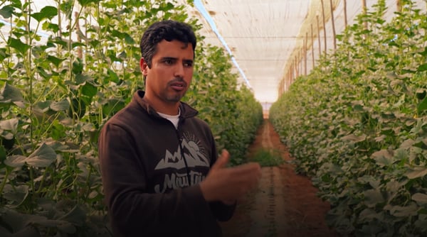 صورة حلقة المحتوى