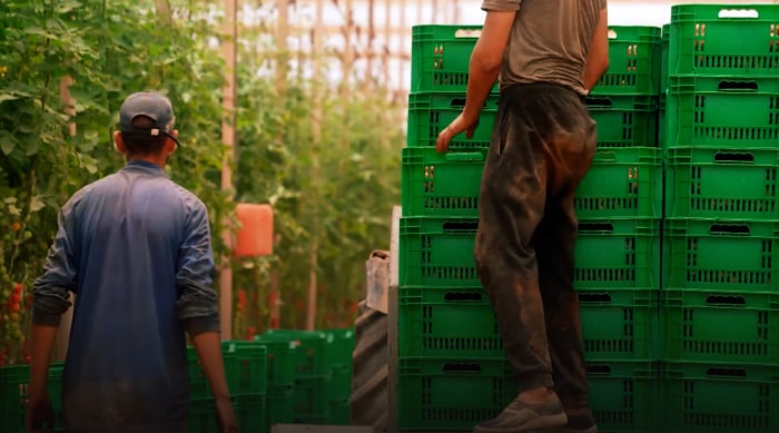 صورة حلقة المحتوى