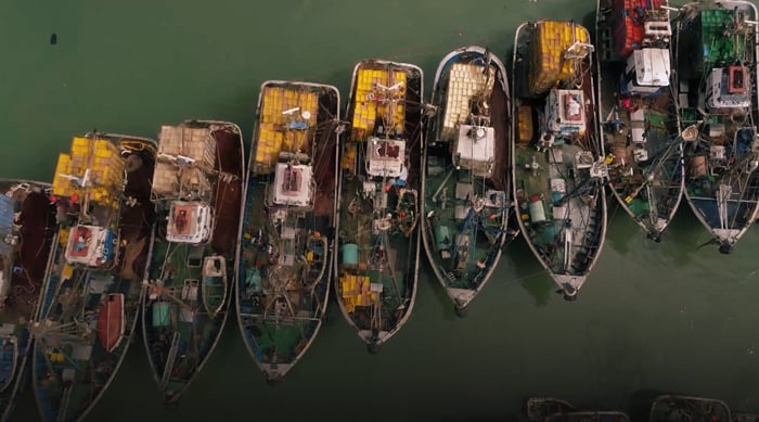 صورة حلقة المحتوى