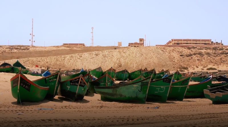 صورة حلقة المحتوى