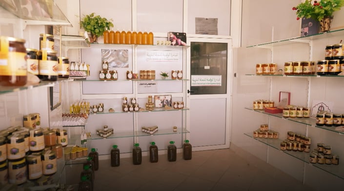 صورة حلقة المحتوى