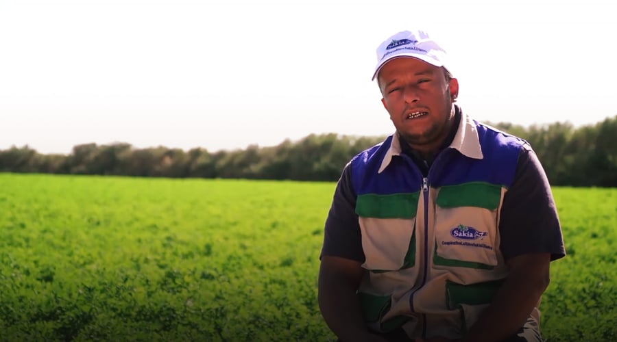 صورة حلقة المحتوى