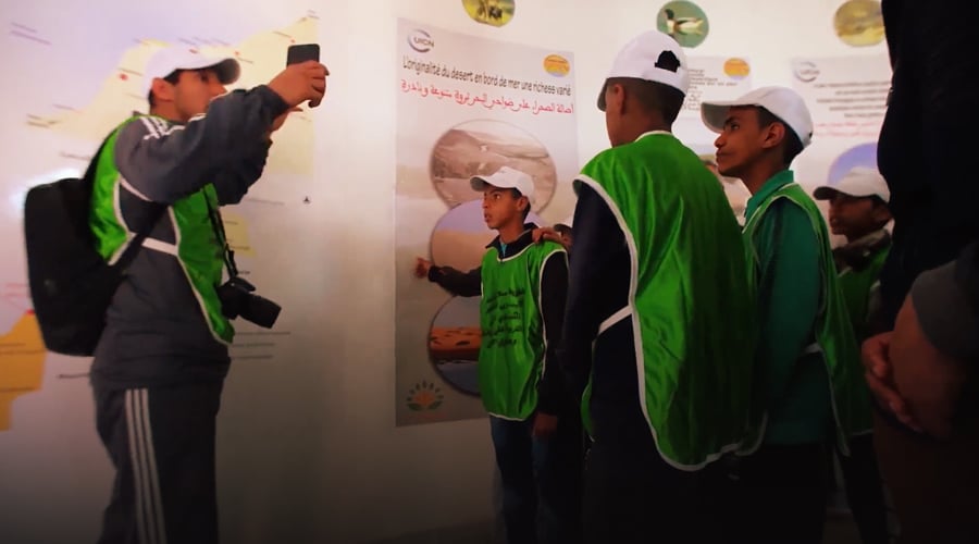 صورة حلقة المحتوى