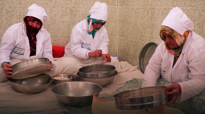 صورة حلقة المحتوى