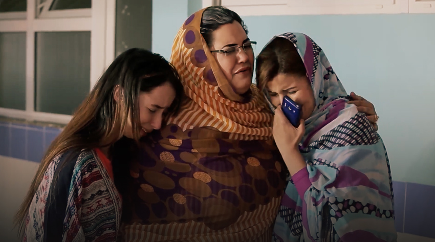 صورة حلقة المحتوى