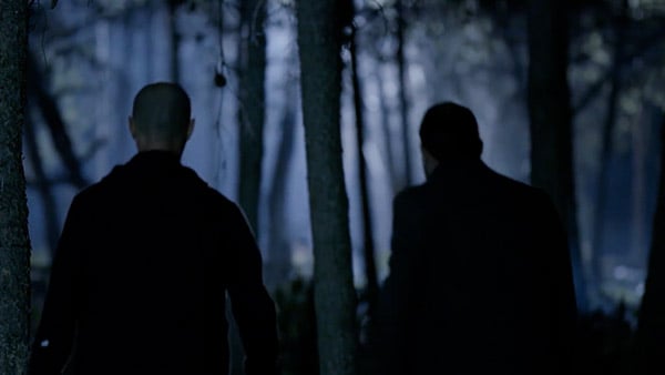 صورة حلقة المحتوى