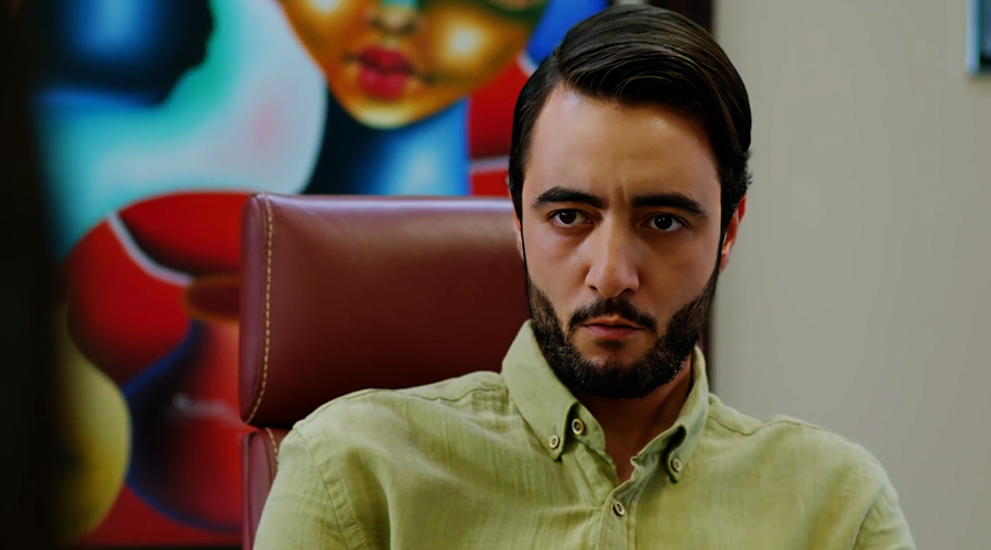 صورة حلقة المحتوى