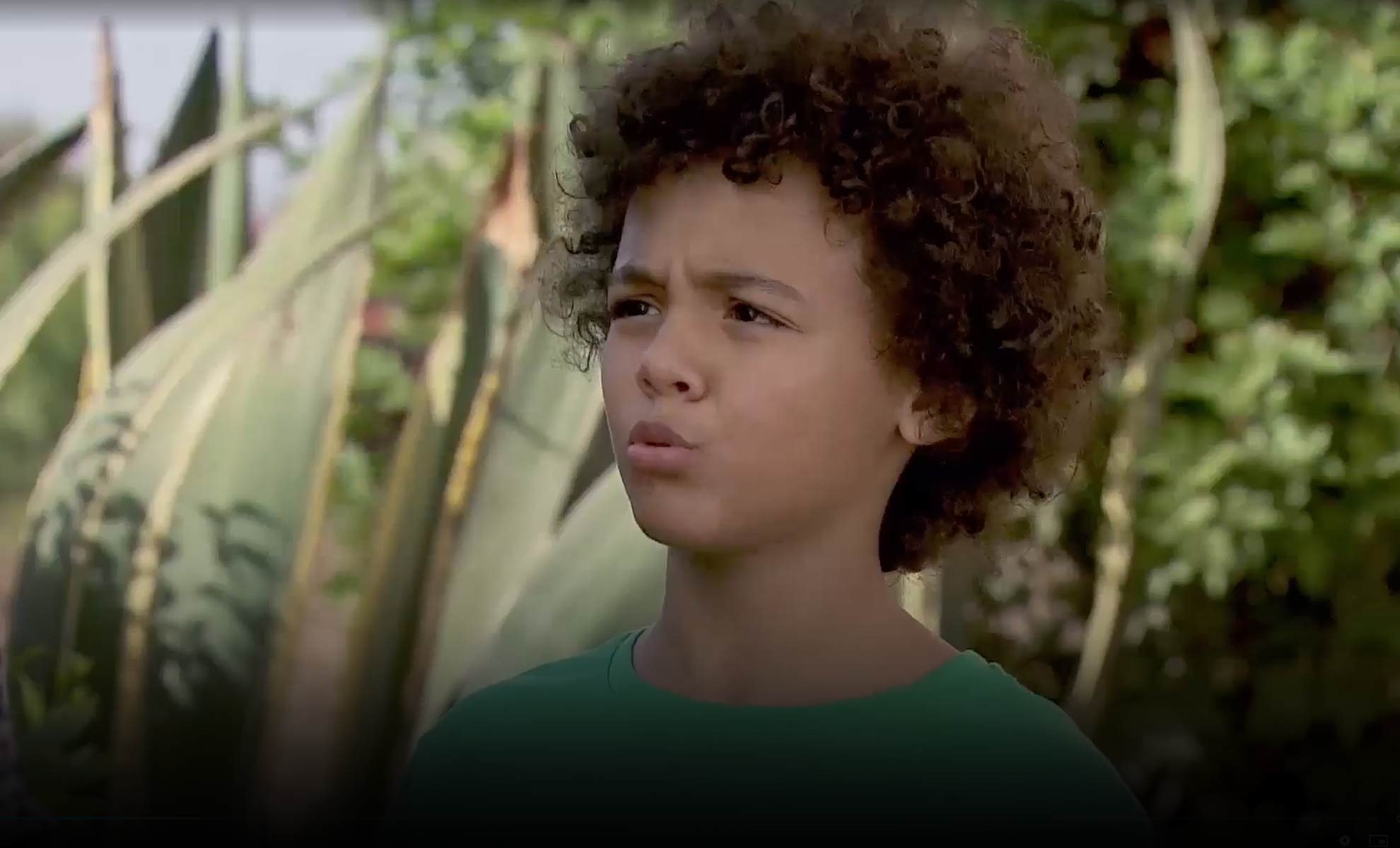 صورة حلقة المحتوى