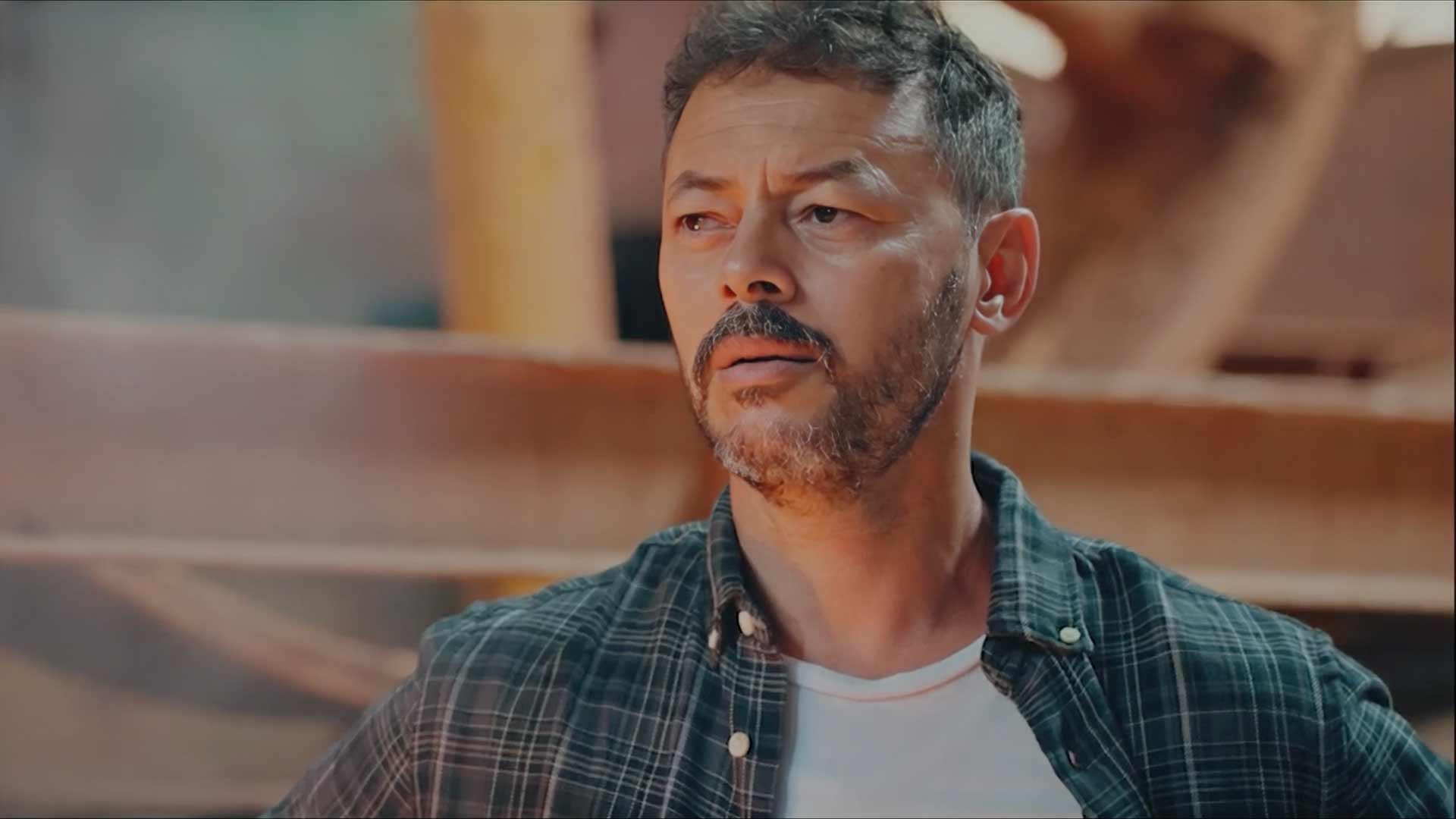 صورة حلقة المحتوى