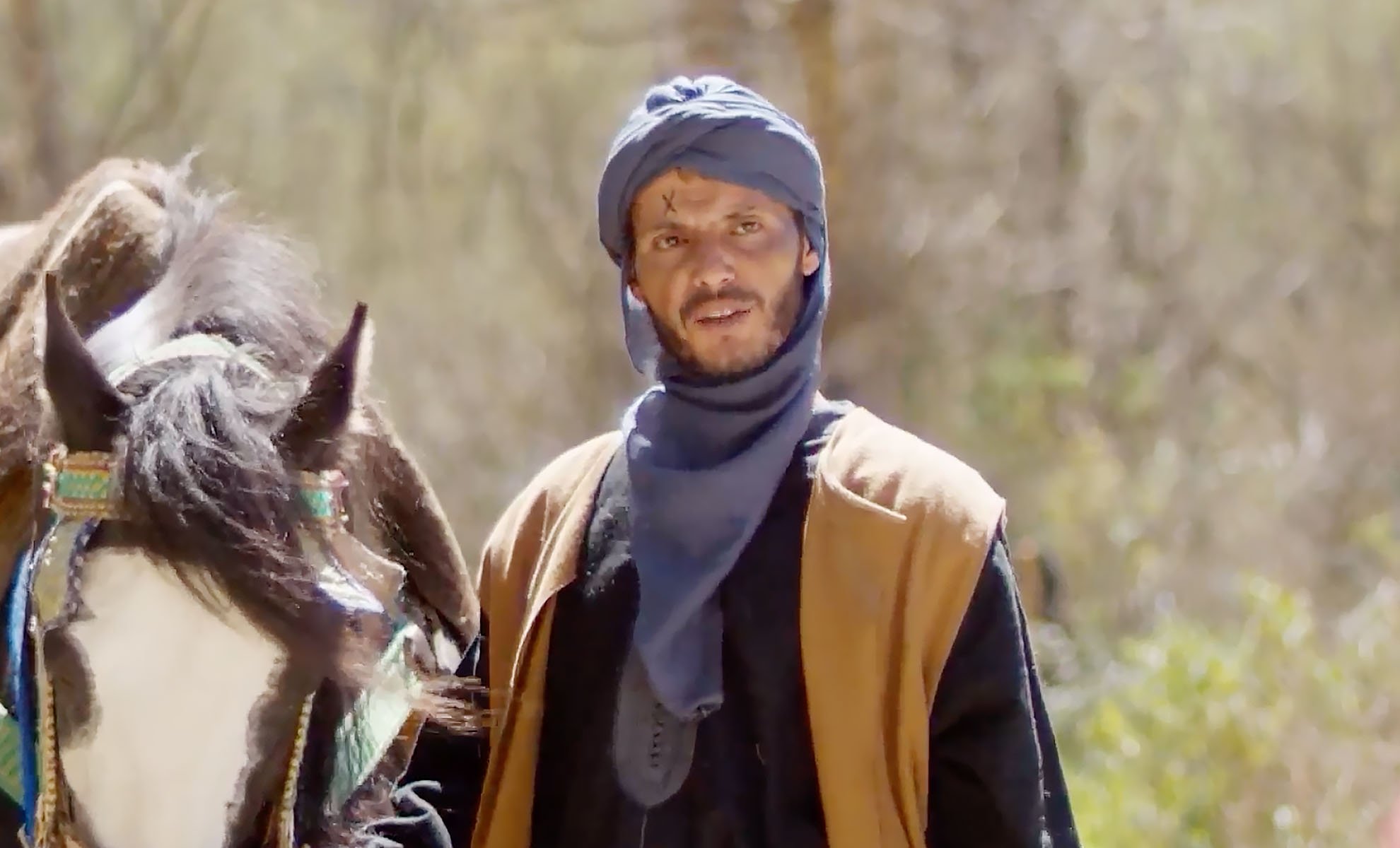 صورة حلقة المحتوى