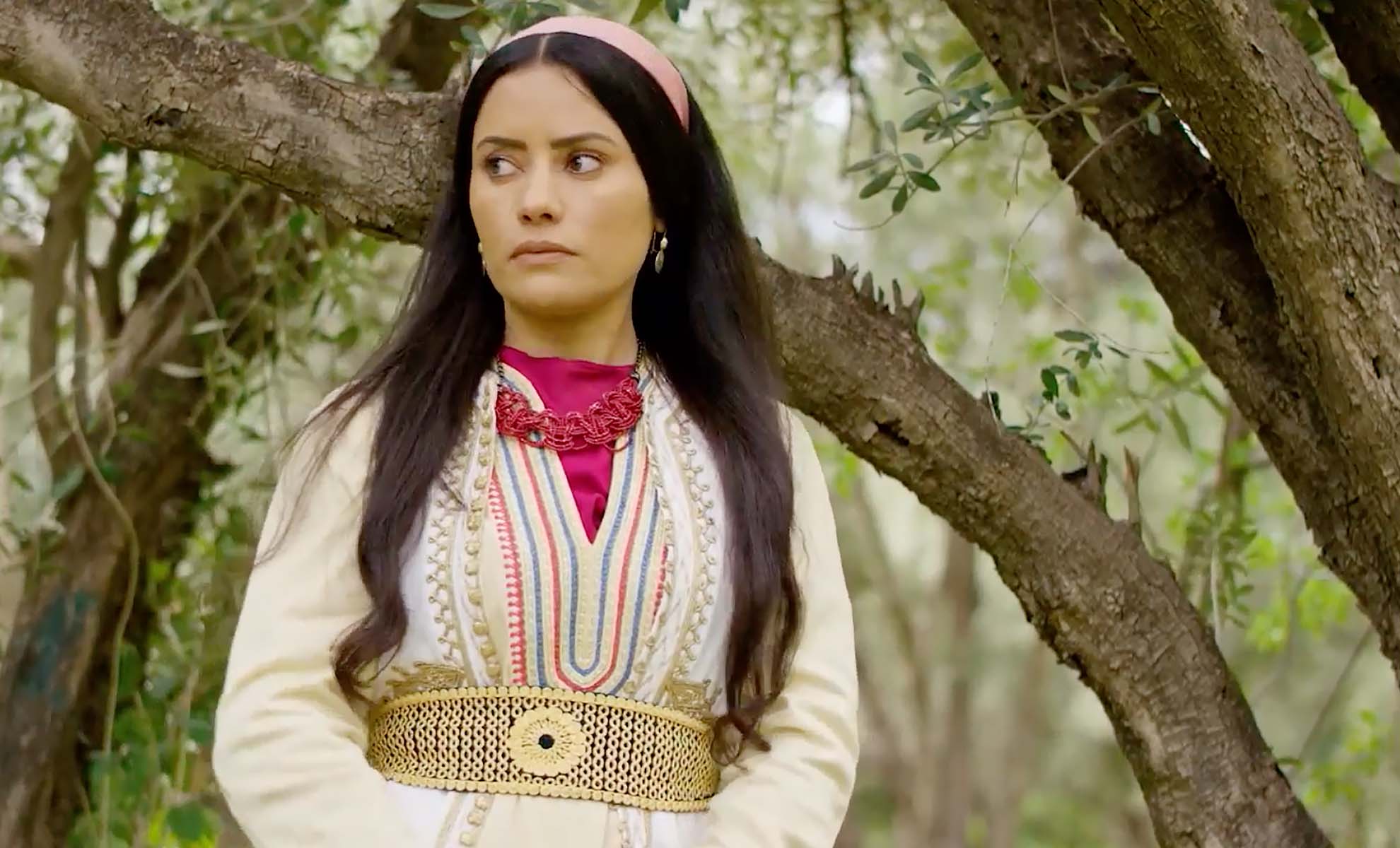 صورة حلقة المحتوى