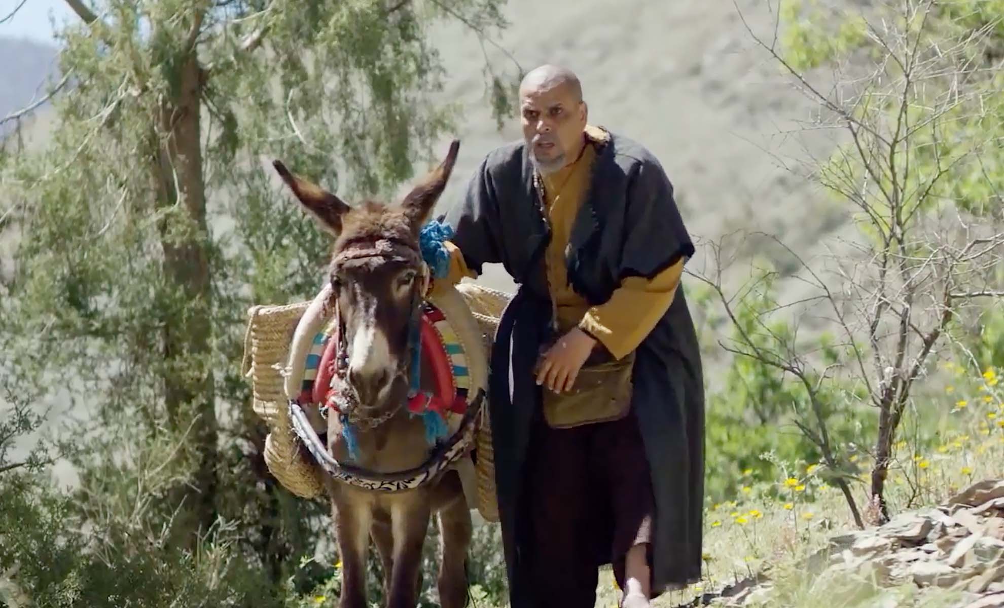 صورة حلقة المحتوى