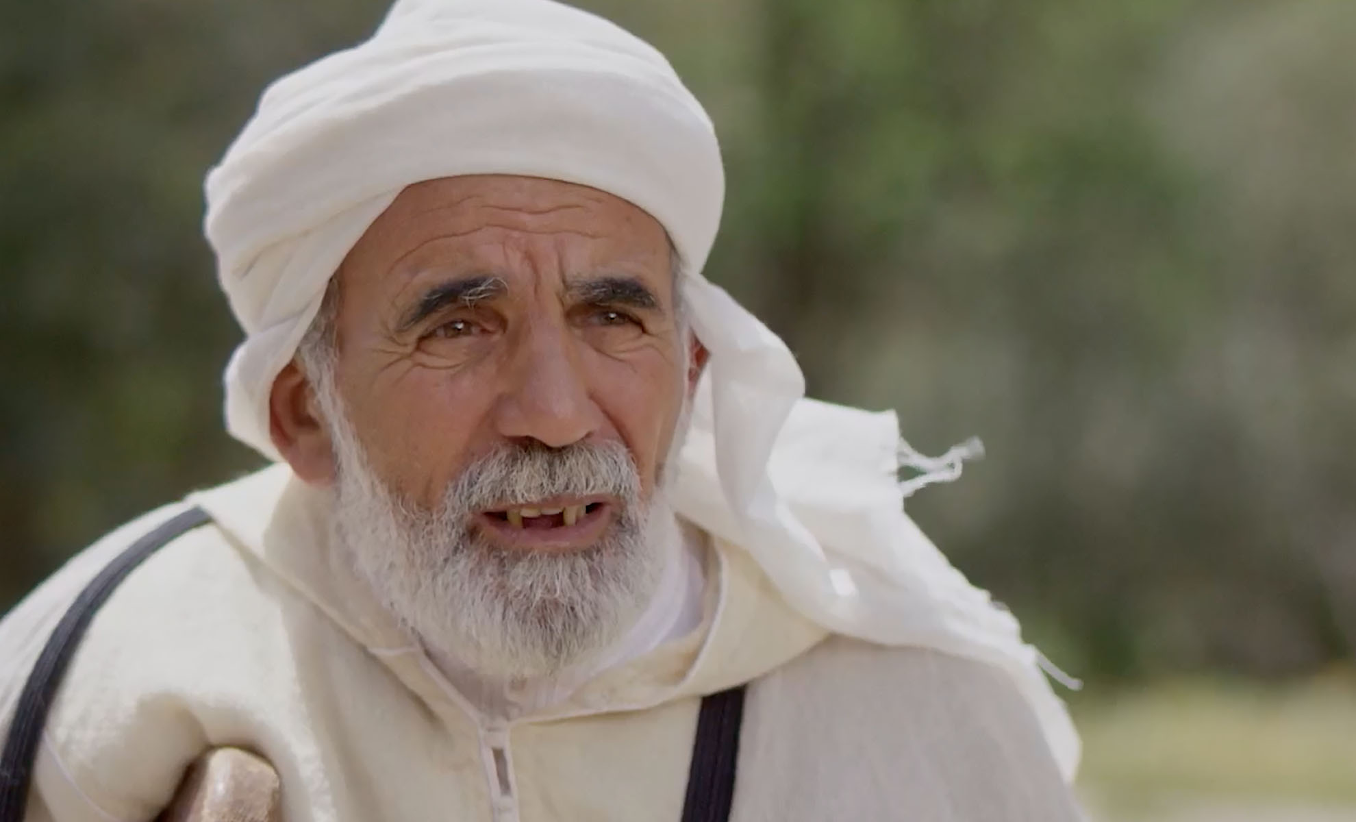 صورة حلقة المحتوى