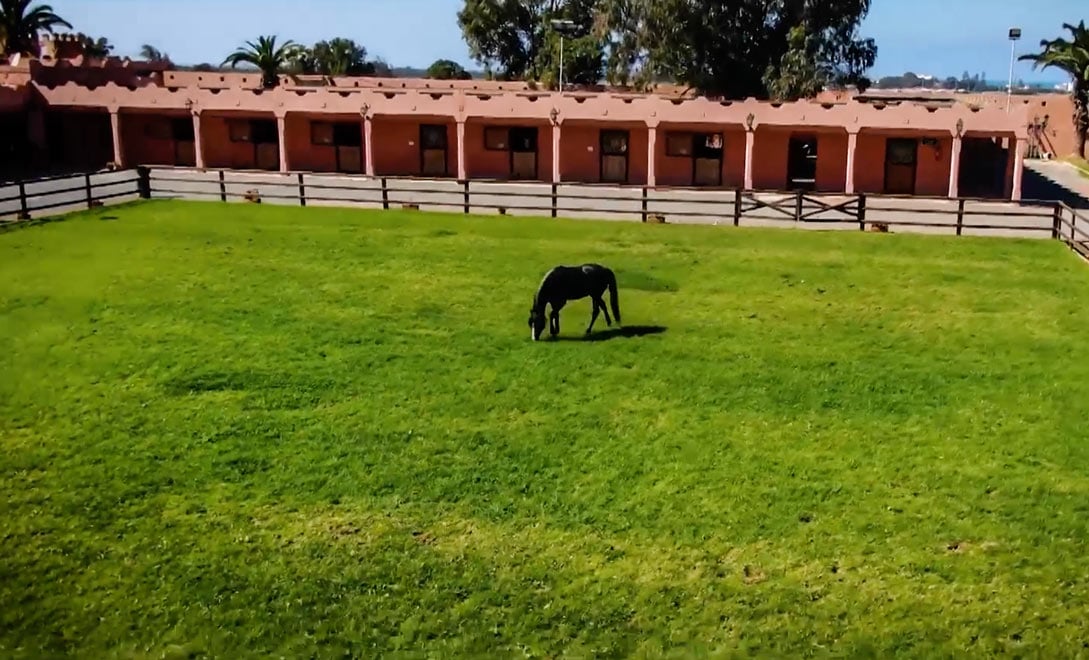 صورة حلقة المحتوى