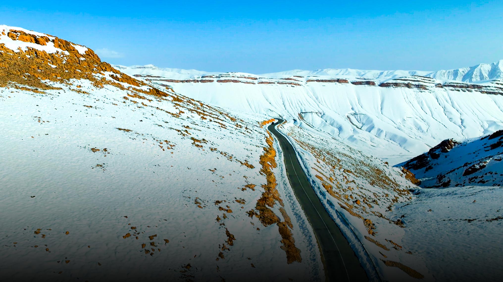 صورة بوستر المحتوى