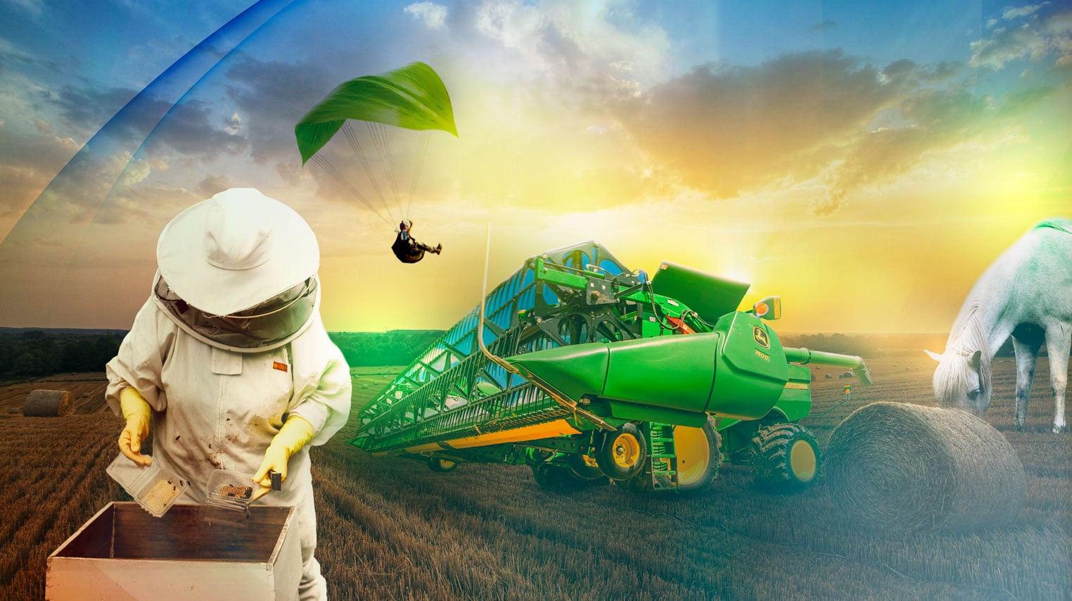 صورة بوستر المحتوى