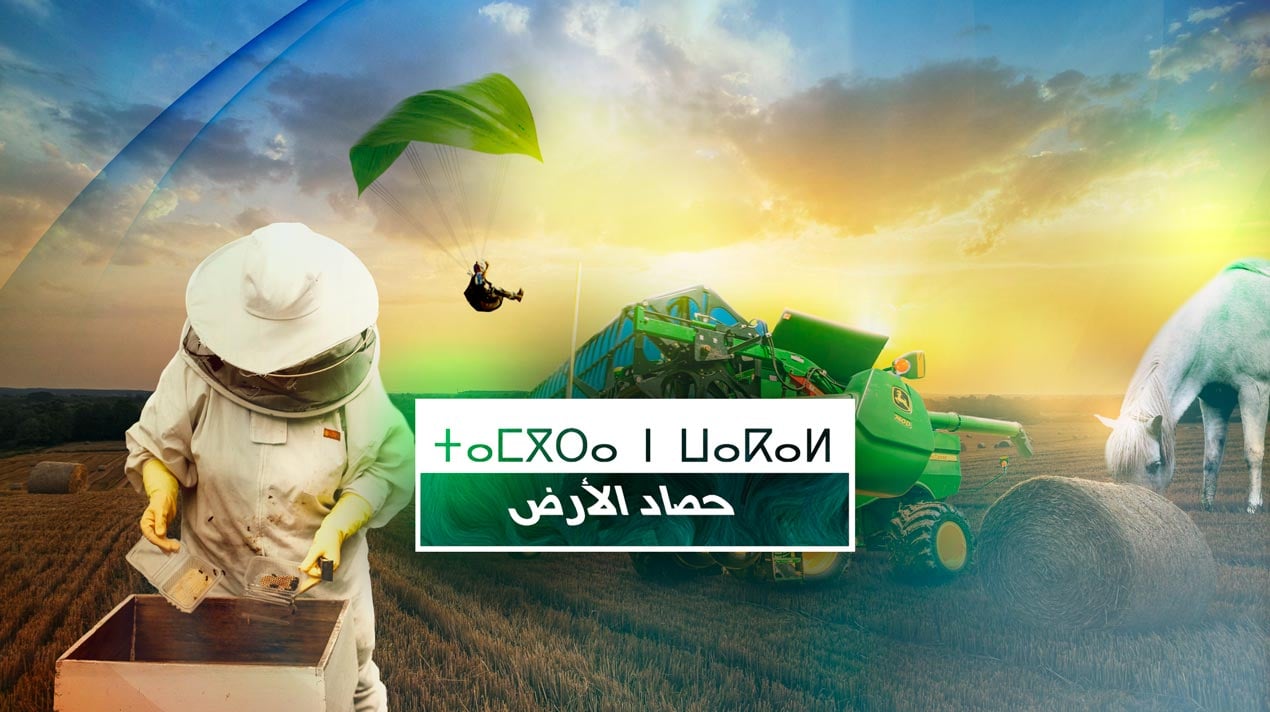 صورة بلاط المحتوى