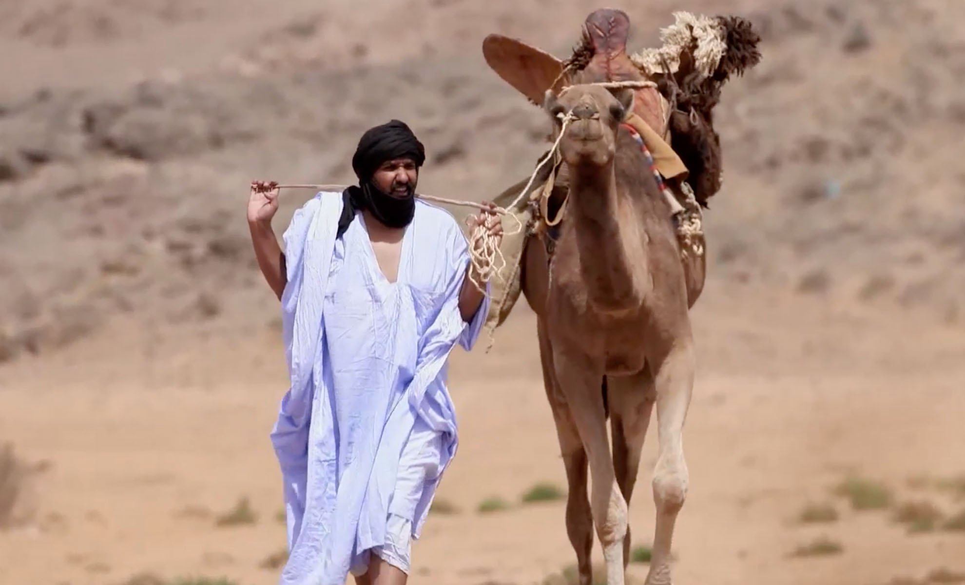 صورة حلقة المحتوى