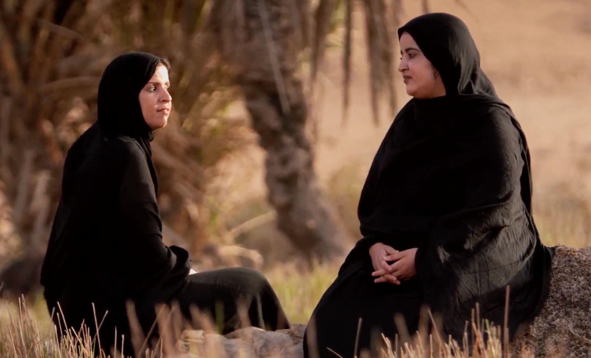 صورة حلقة المحتوى