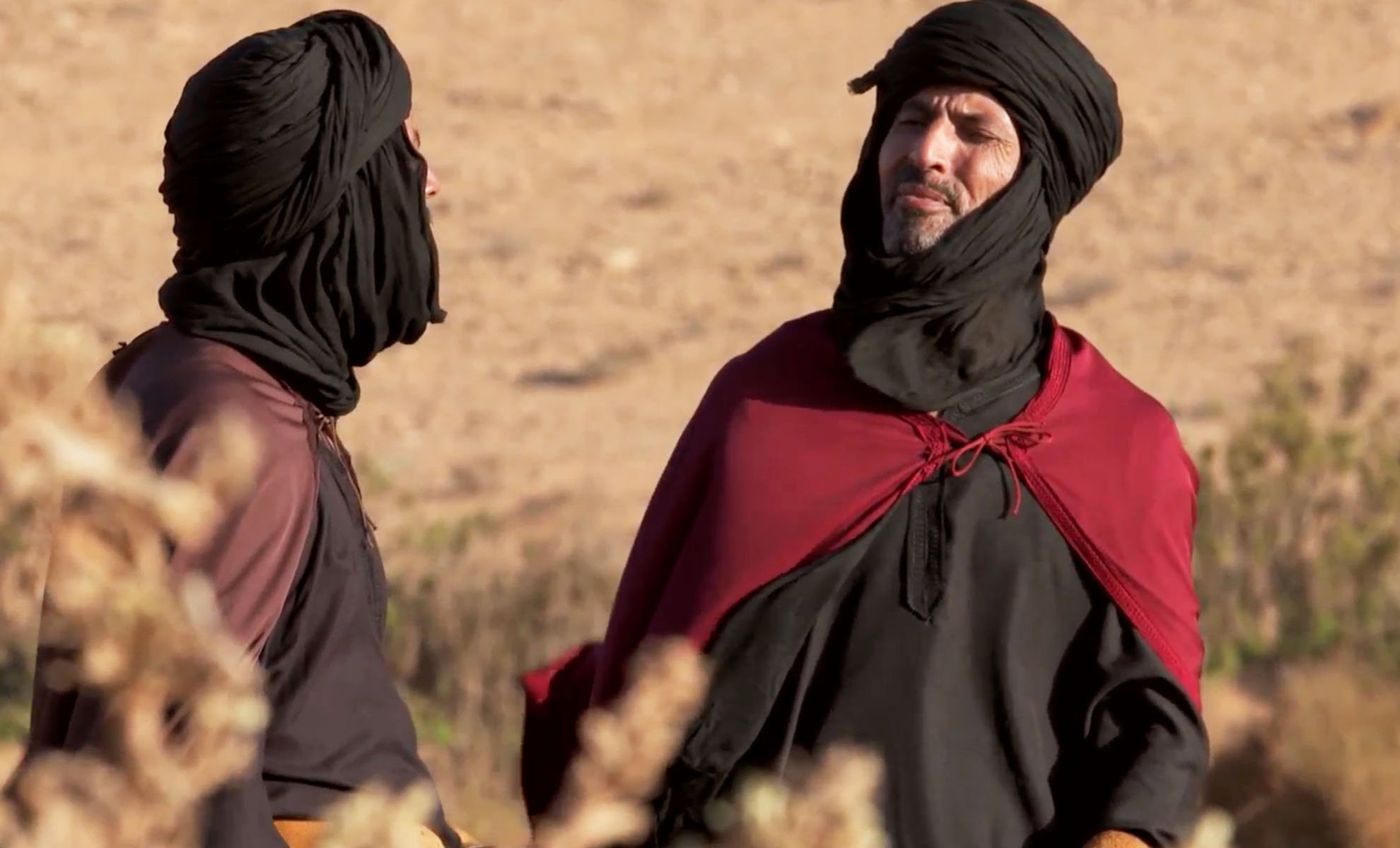 صورة حلقة المحتوى