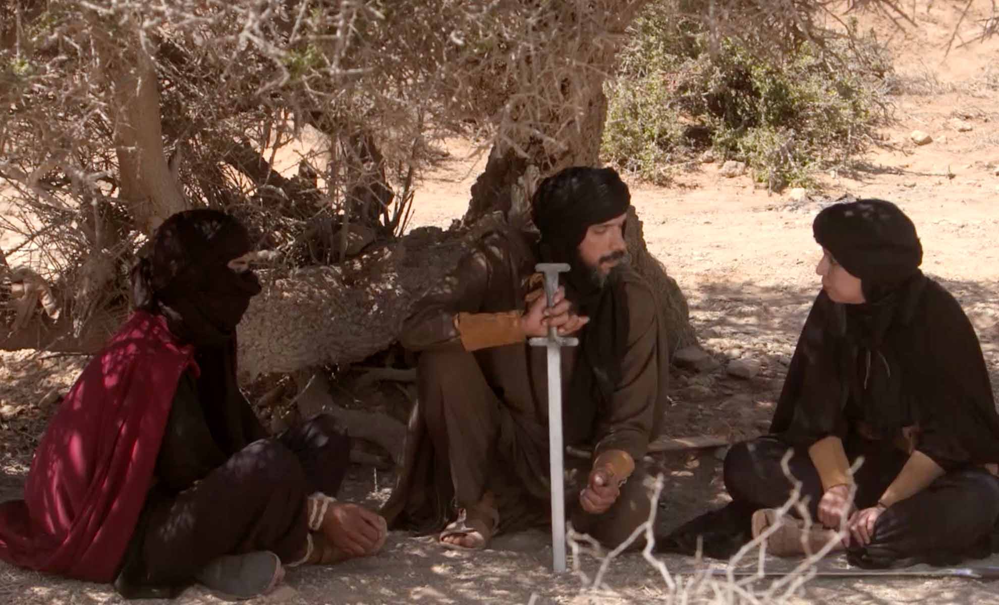 صورة حلقة المحتوى