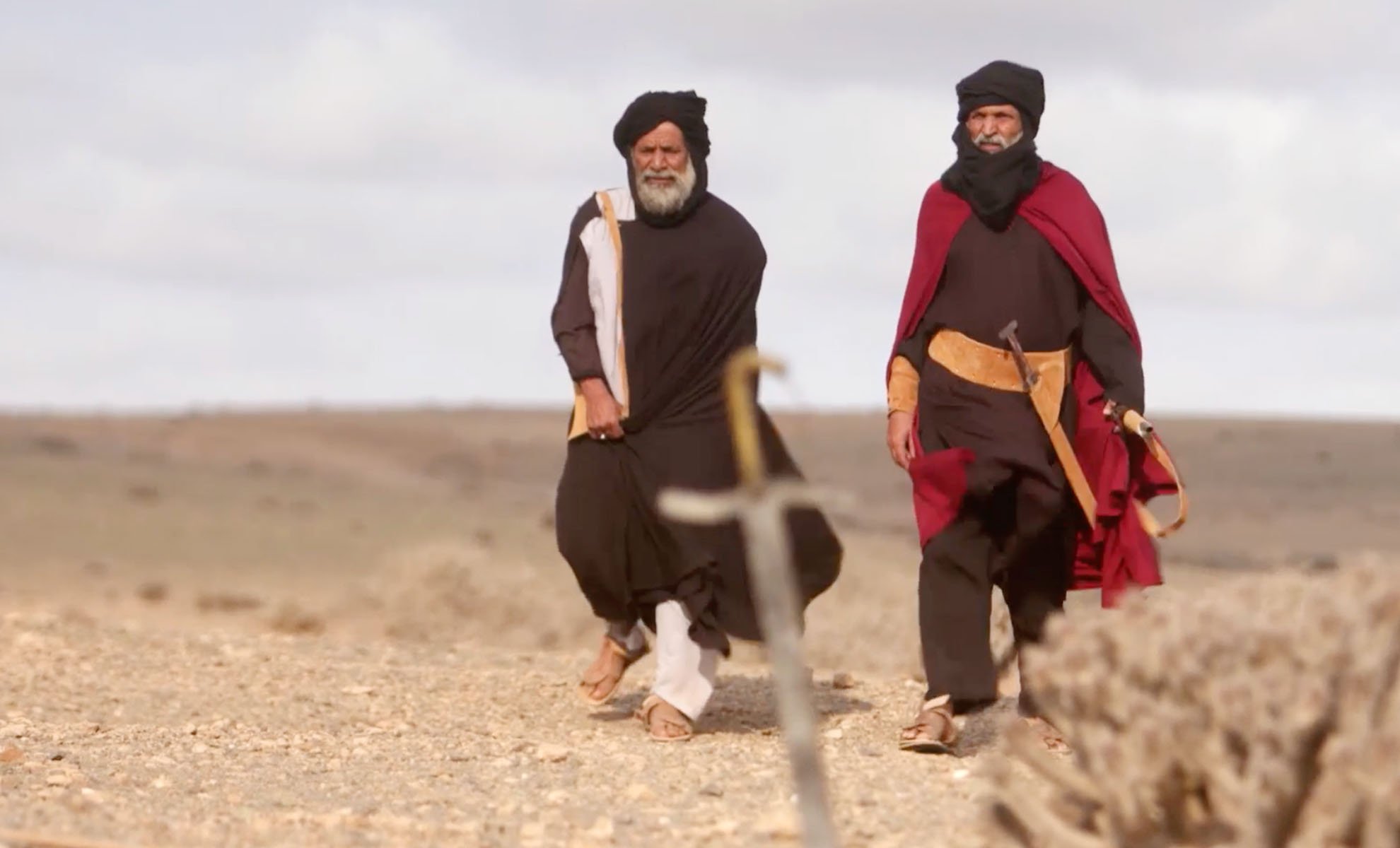 صورة حلقة المحتوى