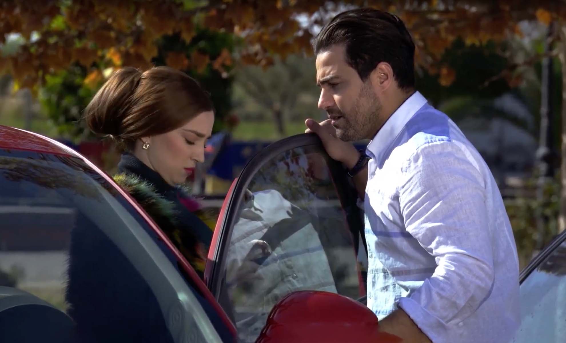 صورة حلقة المحتوى