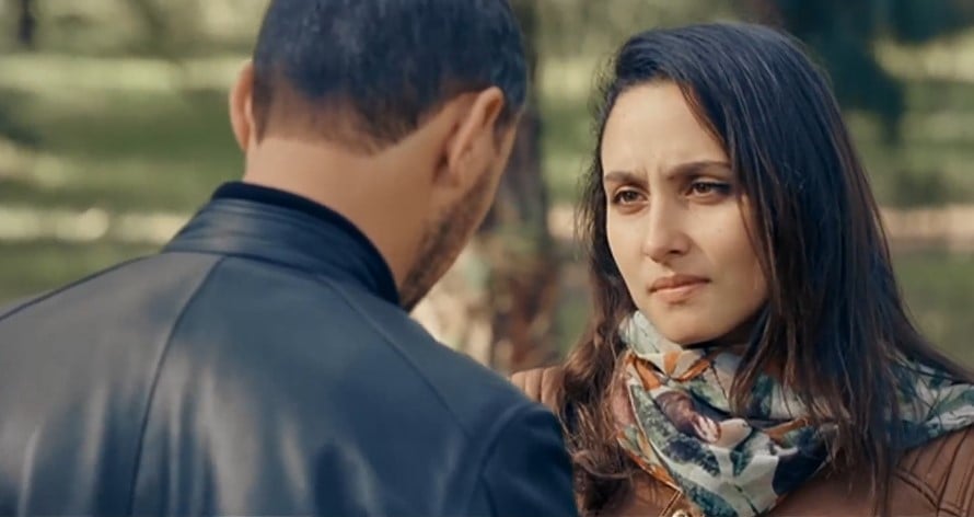 صورة حلقة المحتوى