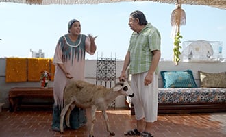 صورة حلقة المحتوى