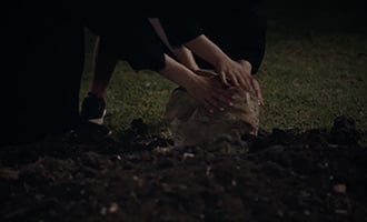 صورة حلقة المحتوى