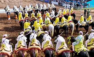 صورة حلقة المحتوى