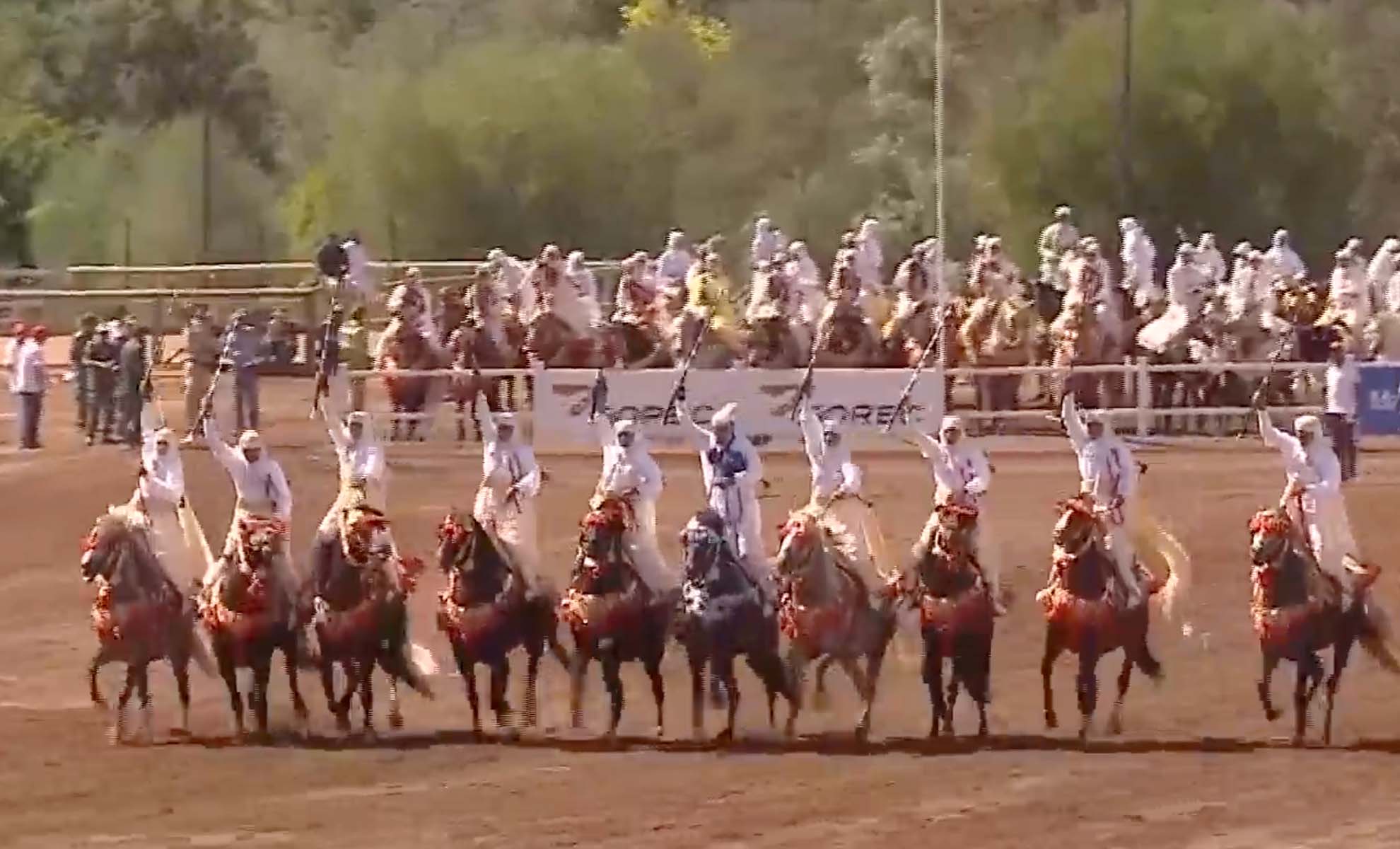 صورة حلقة المحتوى