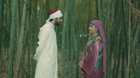 صورة حلقة المحتوى