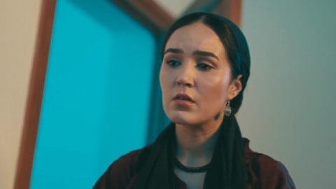 صورة حلقة المحتوى