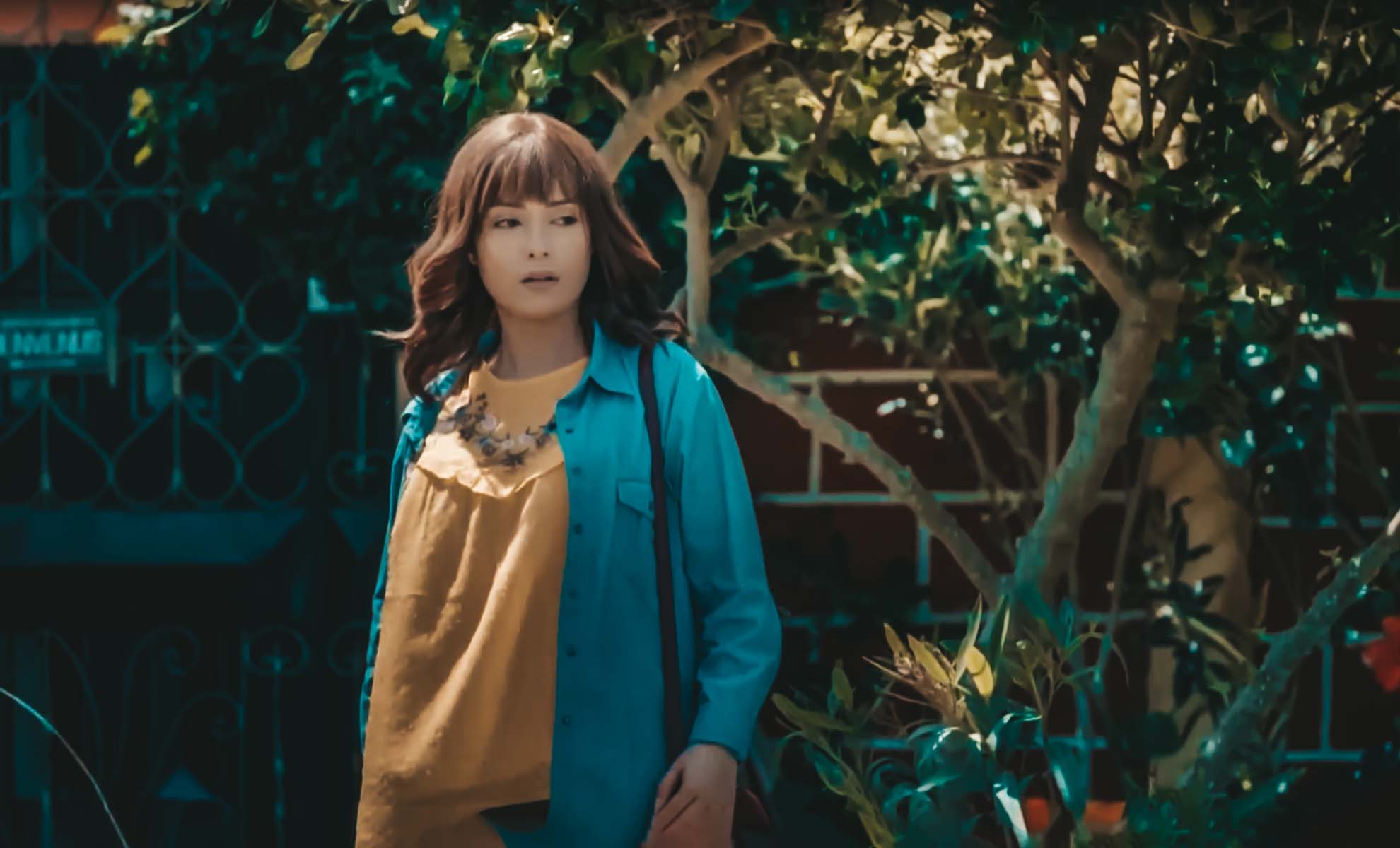 صورة حلقة المحتوى