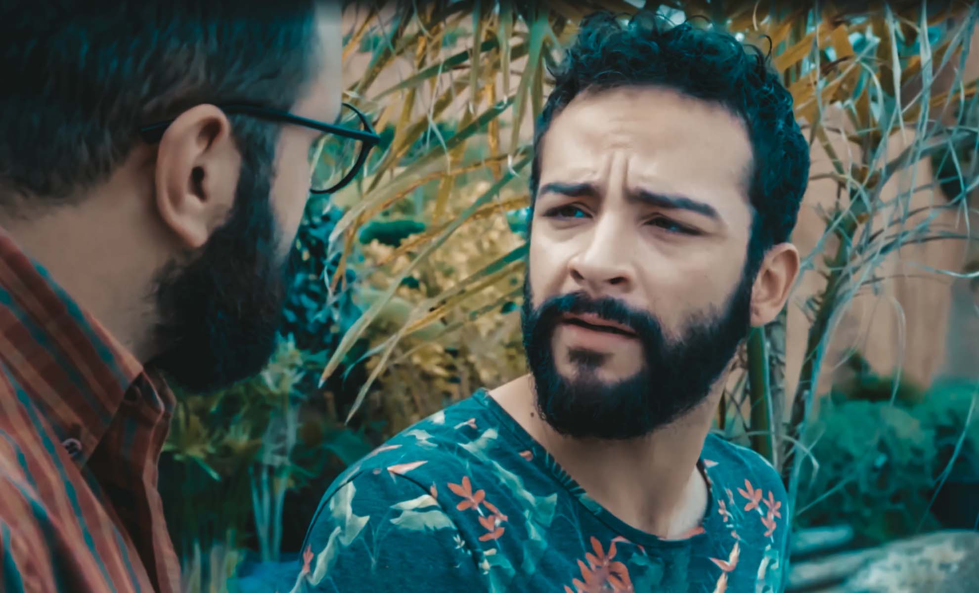 صورة حلقة المحتوى