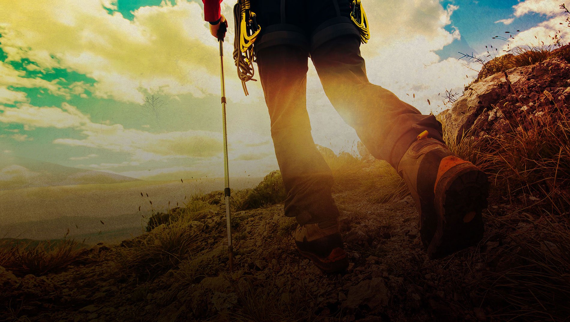 صورة بوستر المحتوى