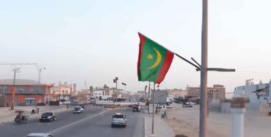 صورة حلقة المحتوى