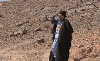 صورة حلقة المحتوى