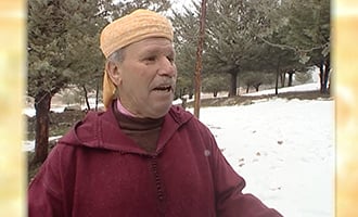 صورة حلقة المحتوى