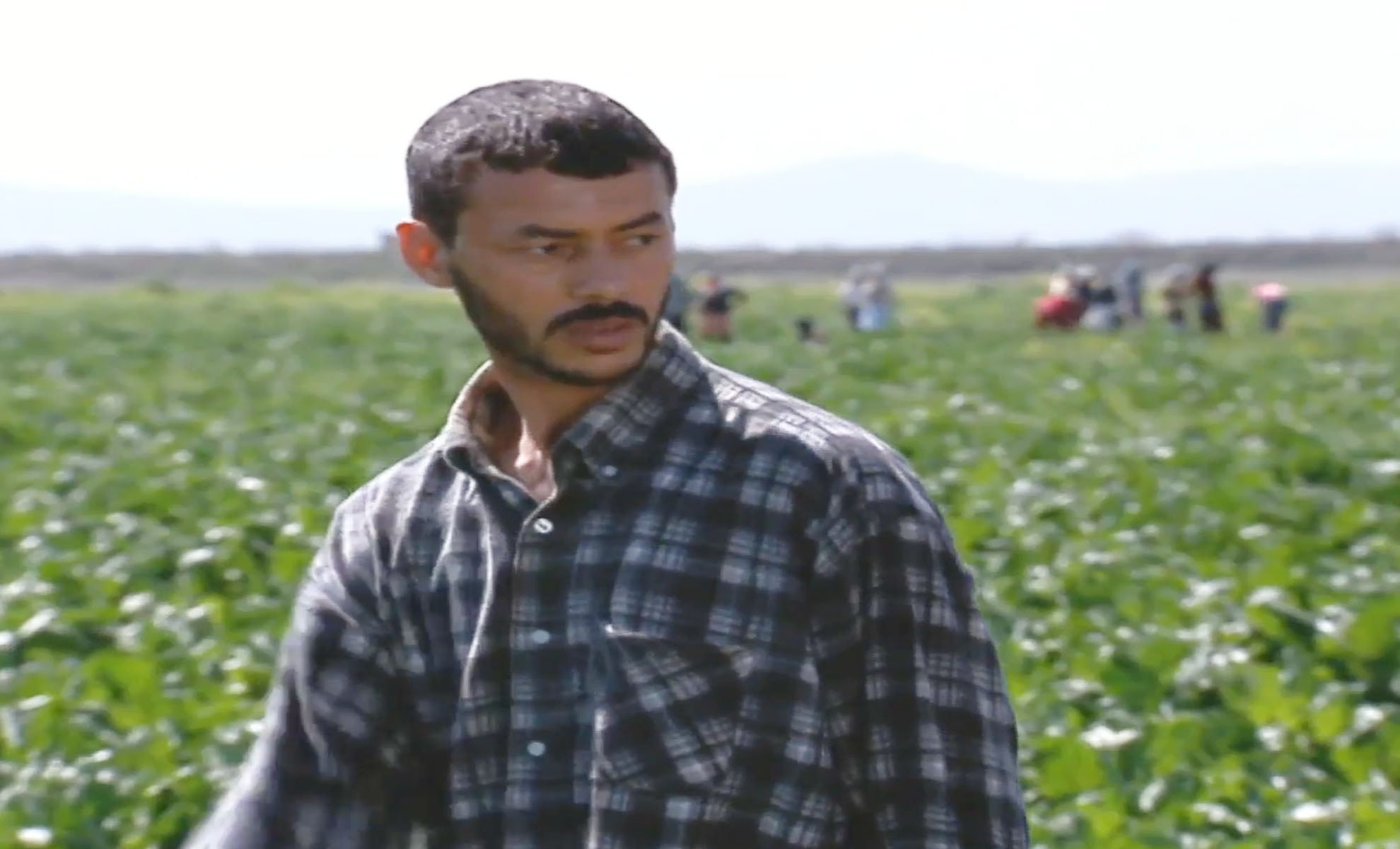 صورة حلقة المحتوى