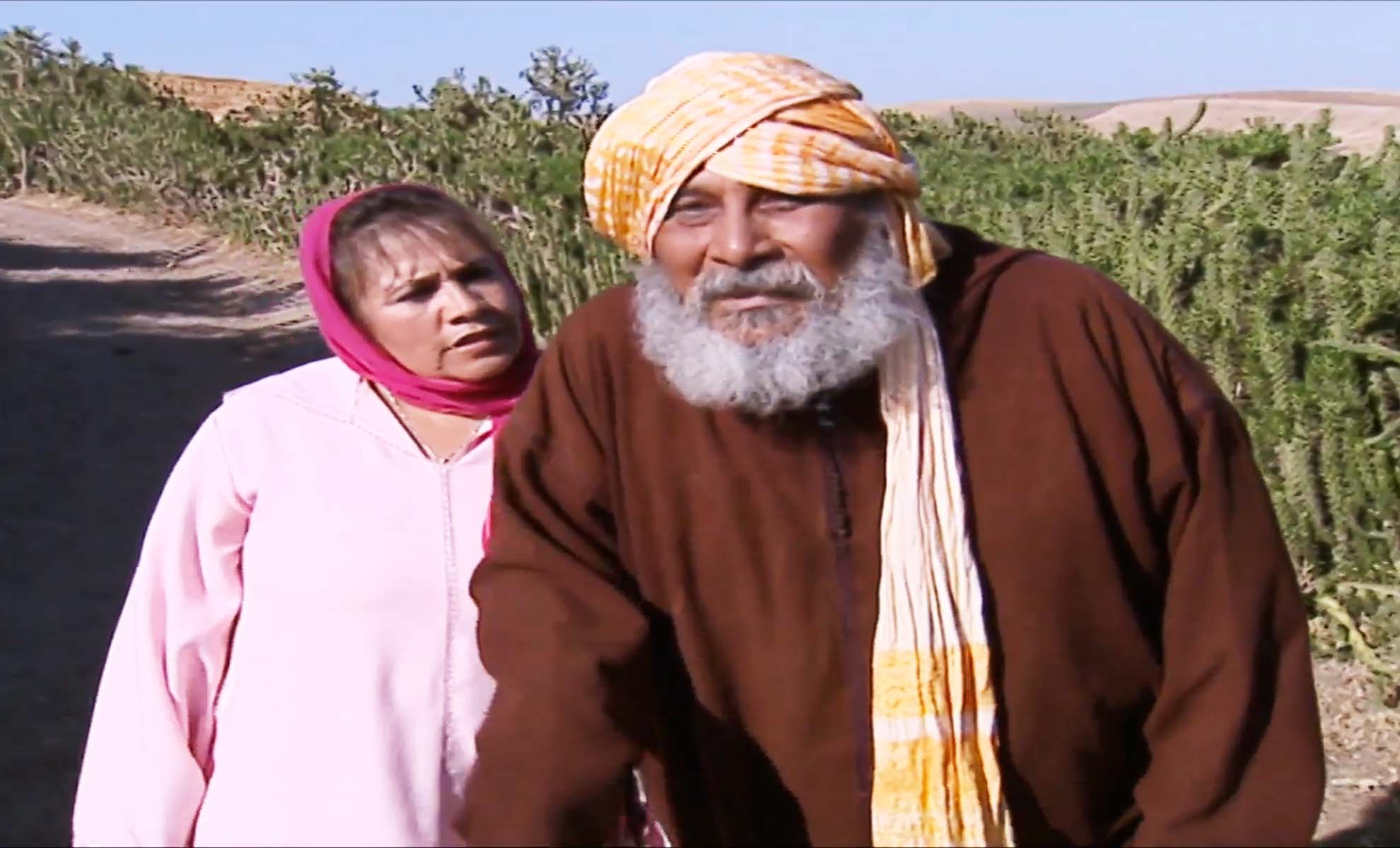 صورة حلقة المحتوى