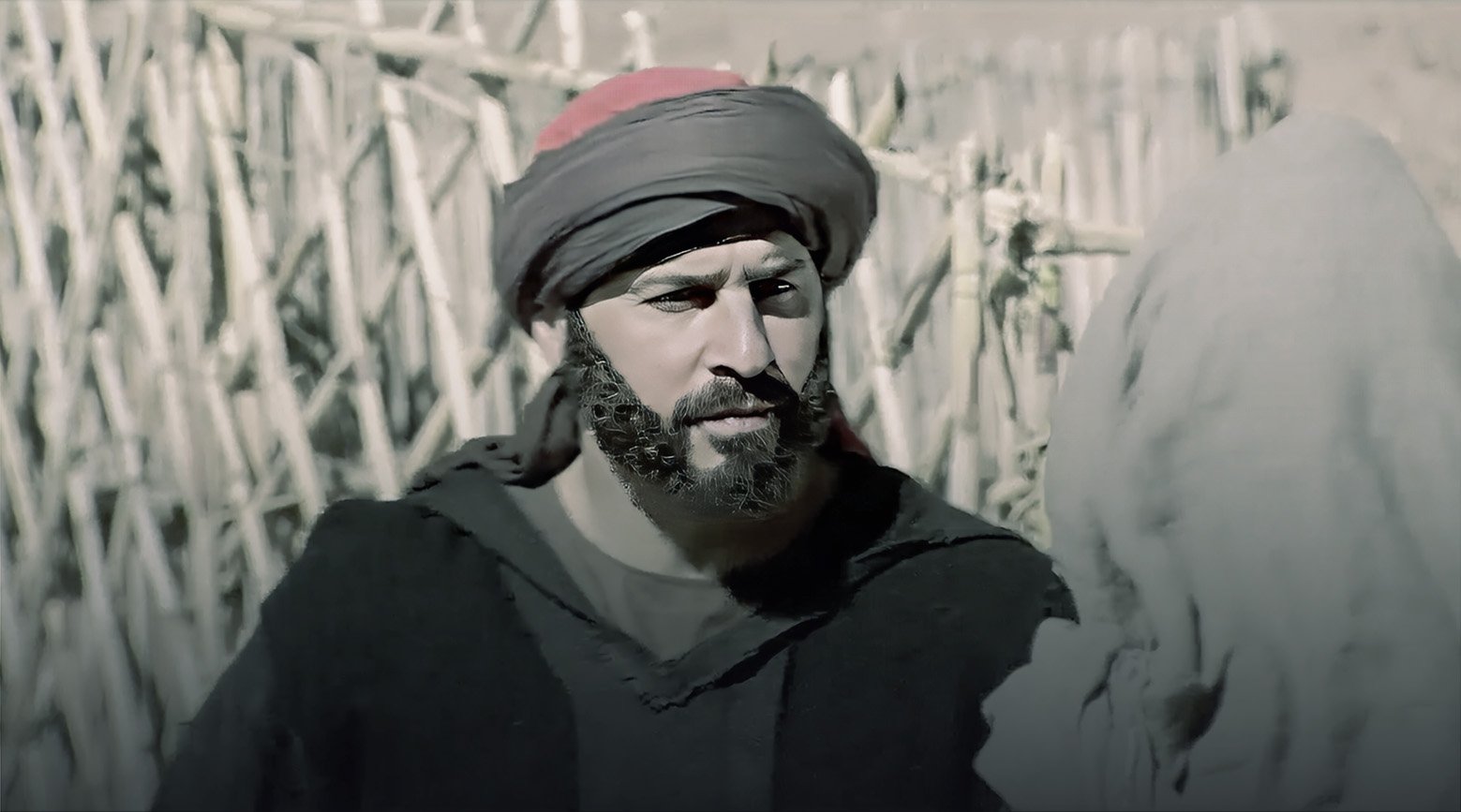 صورة حلقة المحتوى