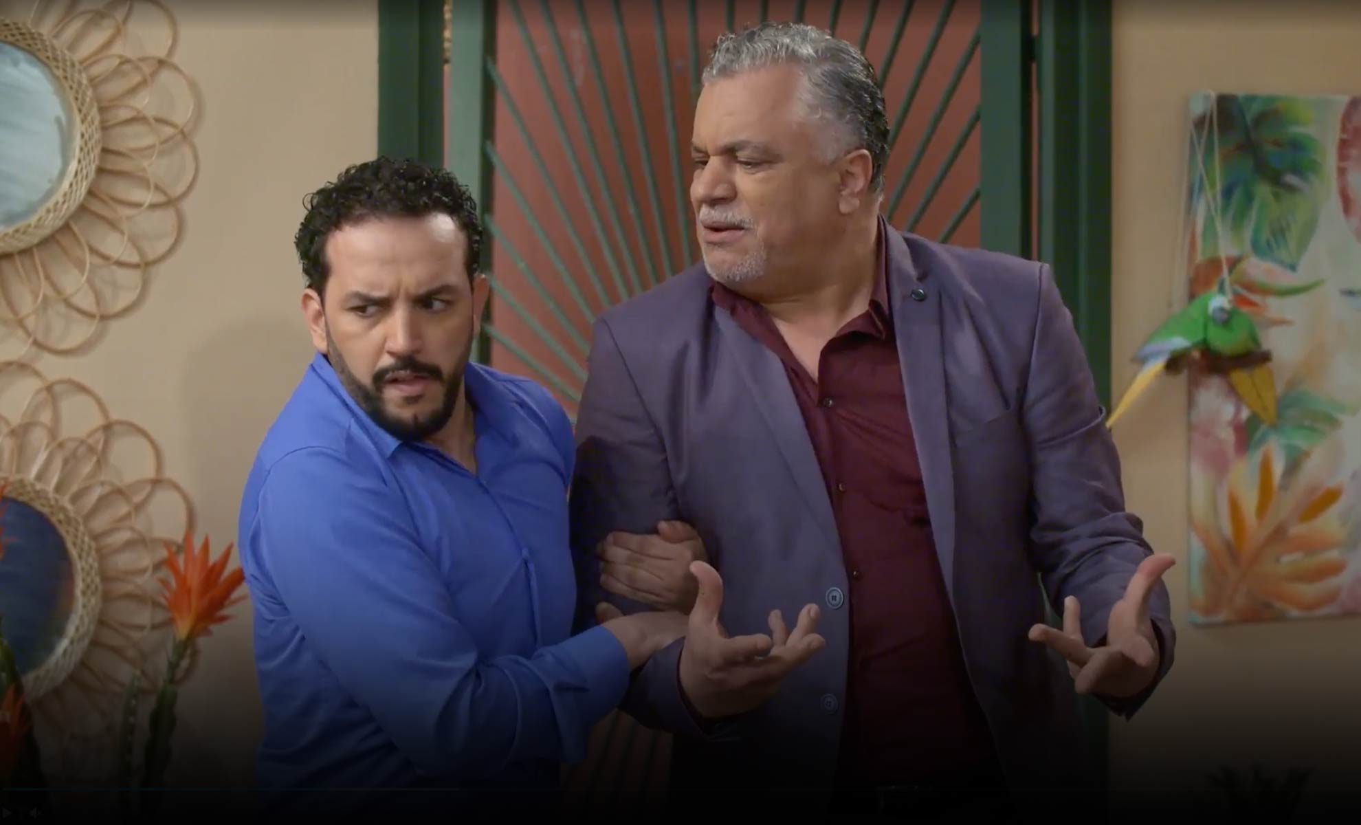 صورة حلقة المحتوى