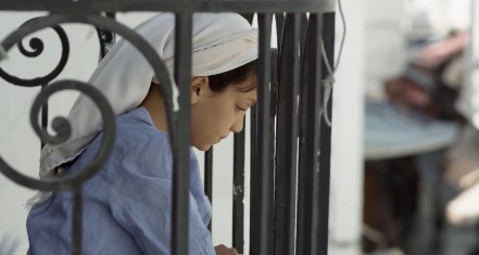 صورة حلقة المحتوى